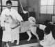 Japan: Chūken Hachikō (忠犬ハチ公) 'Faithful dog Hachiko' at the taxidermist, National Museum of Nature and Science, Ueno, Tokyo